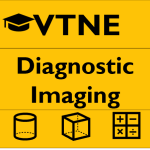 VTNE Diagnostic Imaging Practice Test Questions Answers 2025